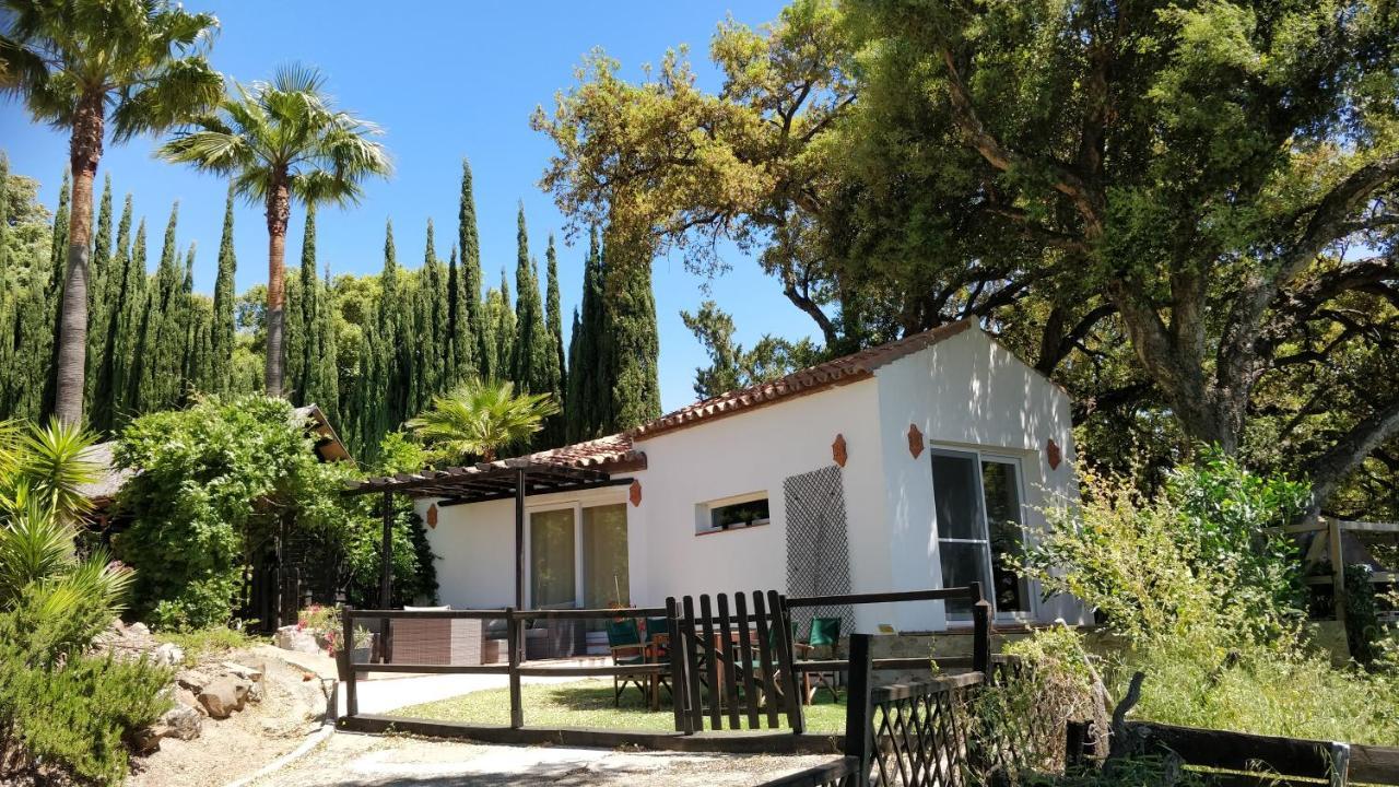 Kia Ora Retreat Casares Ngoại thất bức ảnh