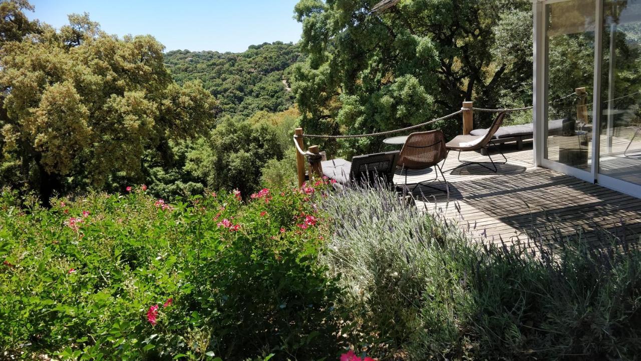 Kia Ora Retreat Casares Ngoại thất bức ảnh