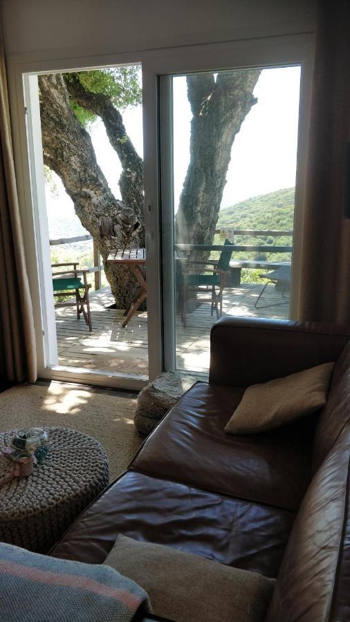 Kia Ora Retreat Casares Ngoại thất bức ảnh