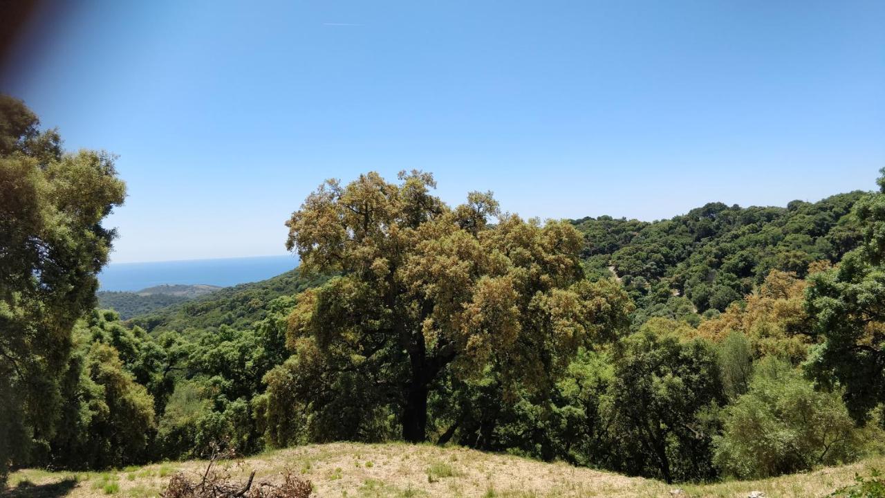 Kia Ora Retreat Casares Ngoại thất bức ảnh