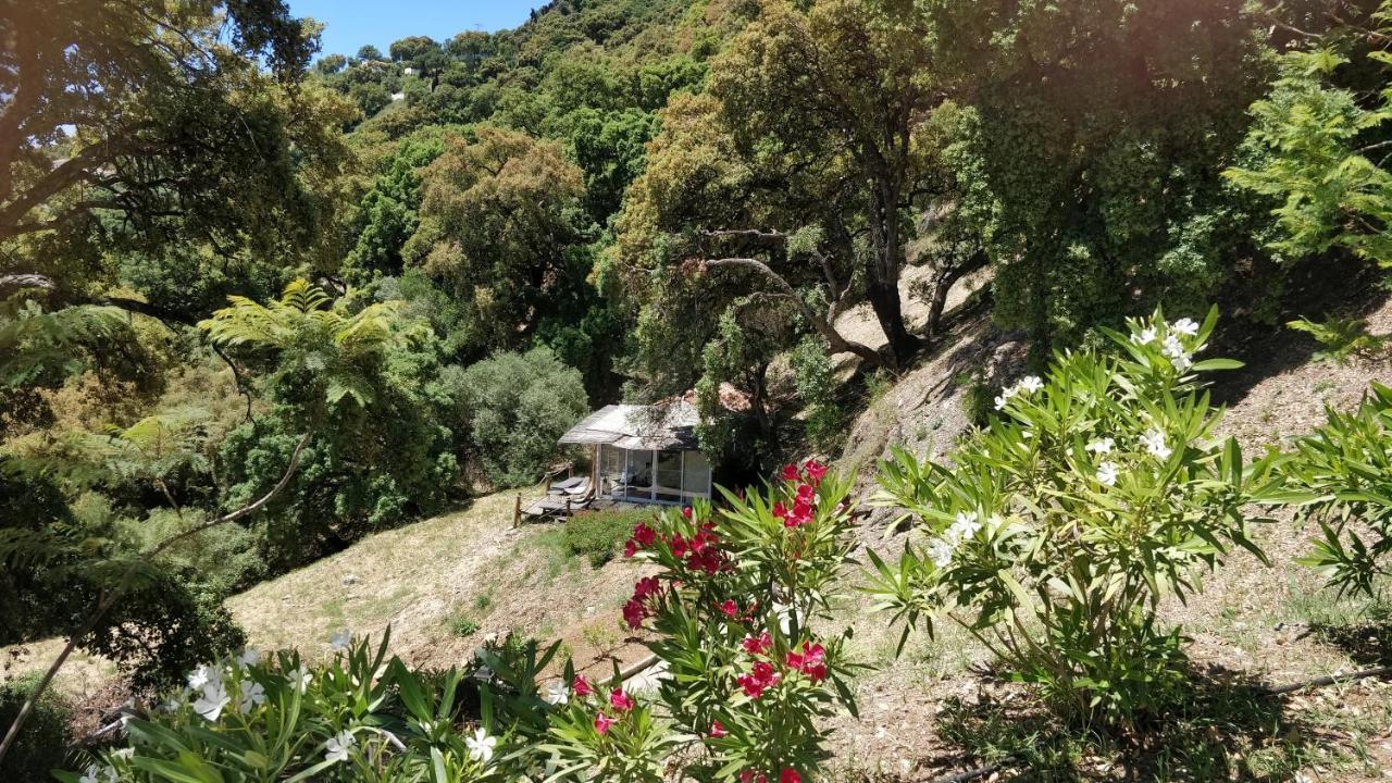 Kia Ora Retreat Casares Ngoại thất bức ảnh