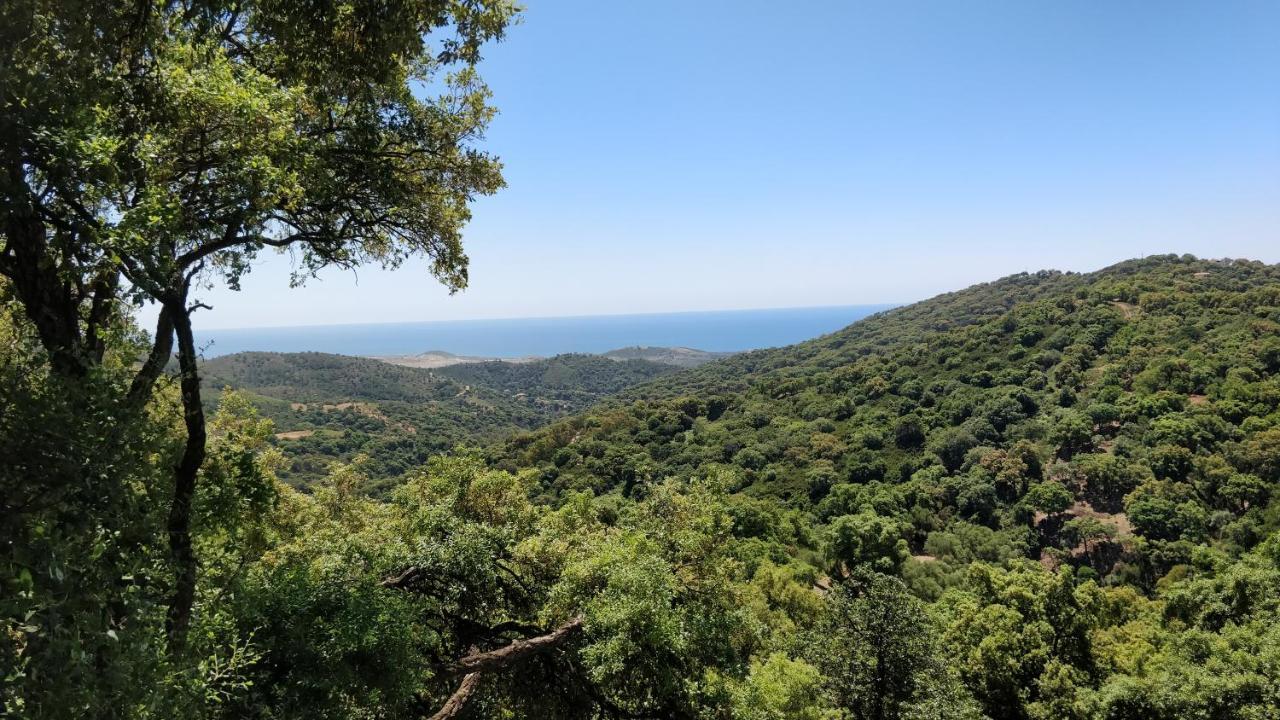 Kia Ora Retreat Casares Ngoại thất bức ảnh