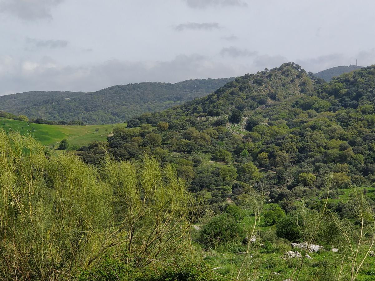 Kia Ora Retreat Casares Ngoại thất bức ảnh