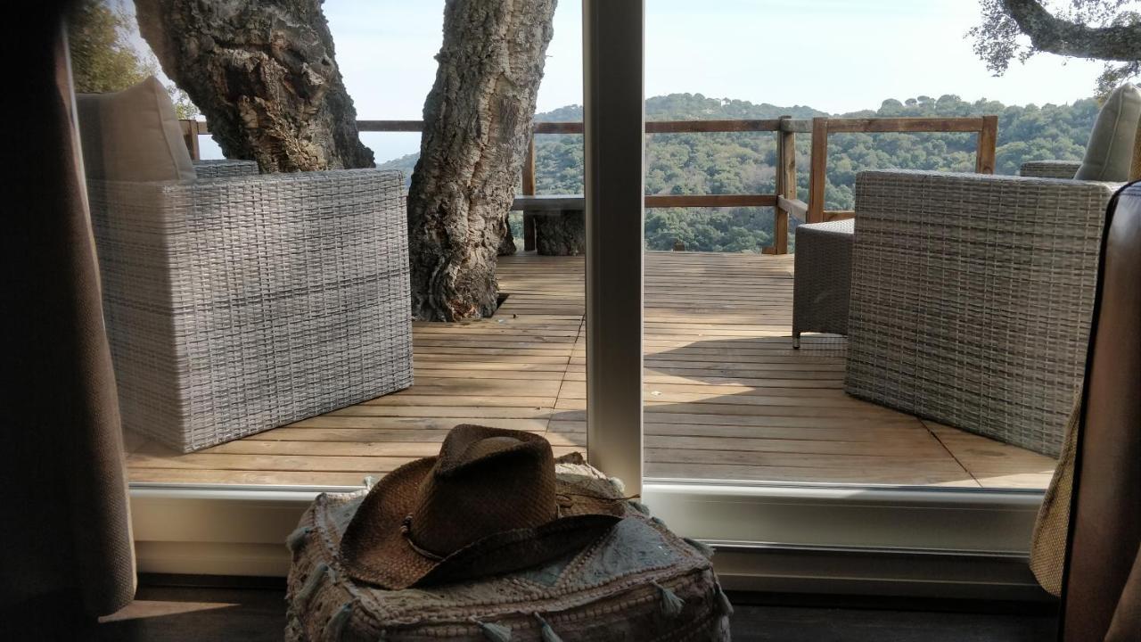 Kia Ora Retreat Casares Ngoại thất bức ảnh